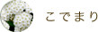 こでまり